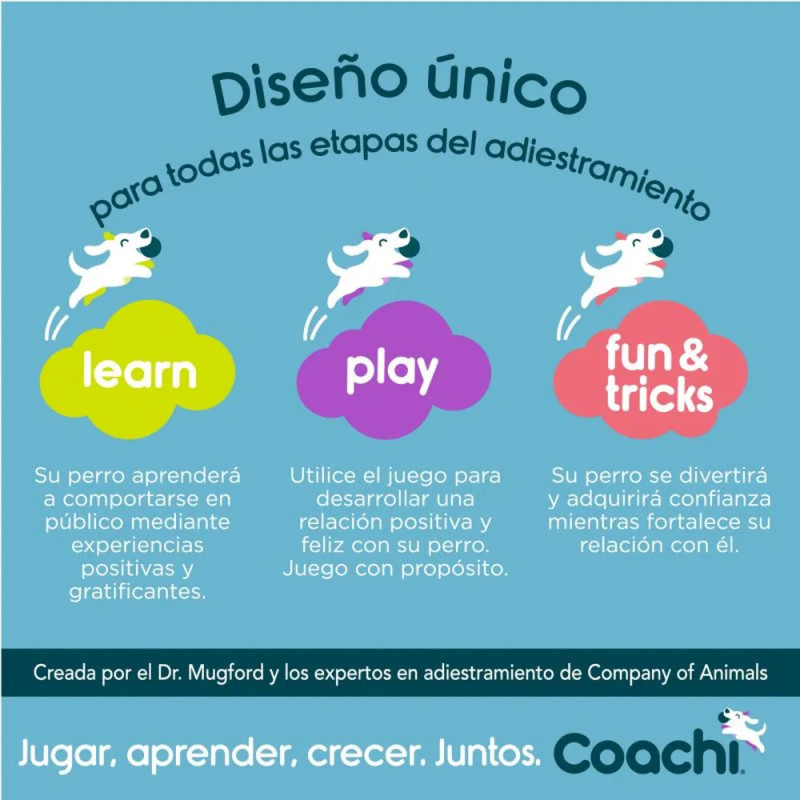Filosofía Coachi de adiestramiento positivo para perros: aprender, jugar y crecer juntos