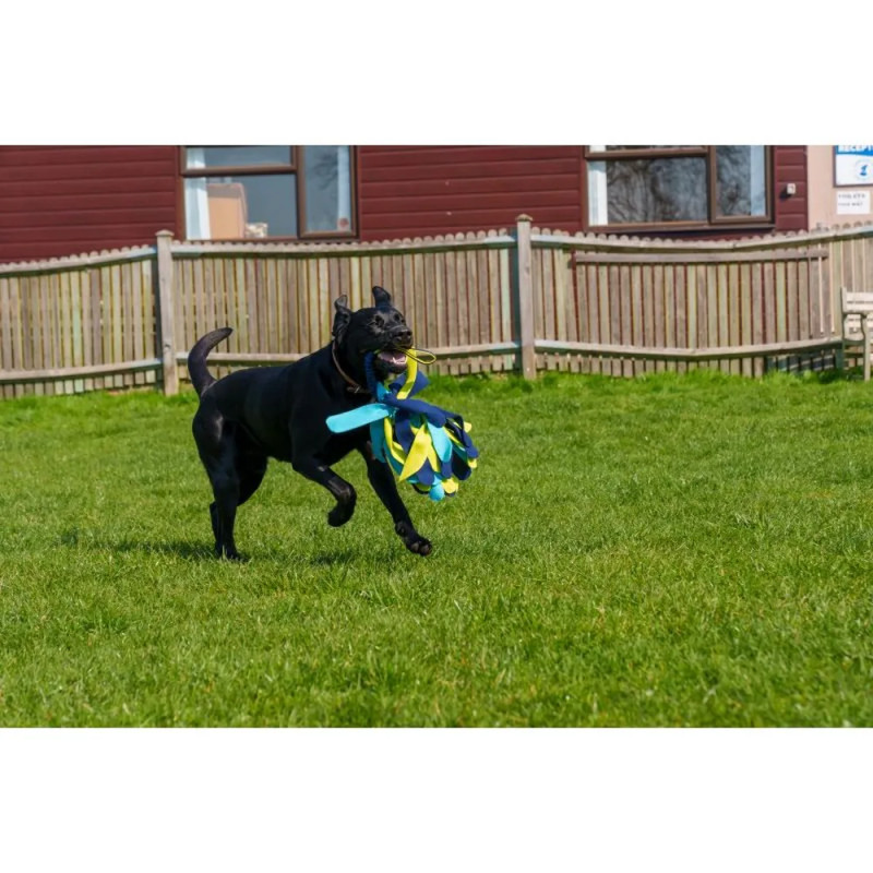 Perro jugando con el juguete interactivo Coachi Tuggi Spider en un jardín