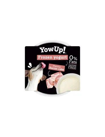 Yow Up Yogurt Helado Bacon Cake