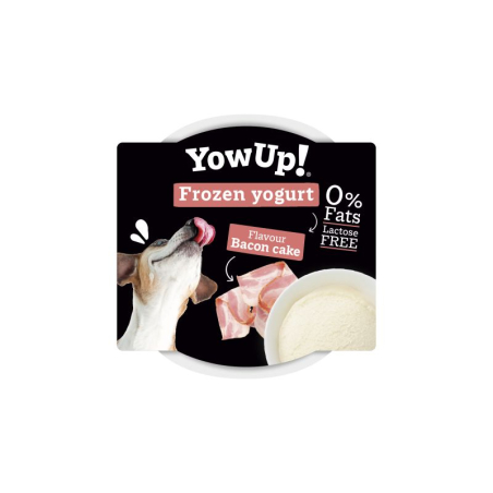 Yow Up Yogurt Helado Bacon Cake