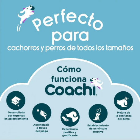 Cómo funciona Coachi, marca de juguetes y accesorios de adiestramiento positivo para perros de todos los tamaños