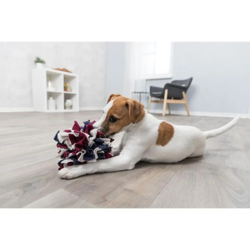 Perro pequeño jugando con pelota de olfato snuffle ball, juguete interactivo de tela con premios ocultos