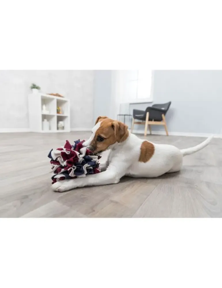 Perro pequeño jugando con pelota de olfato snuffle ball, juguete interactivo de tela con premios ocultos
