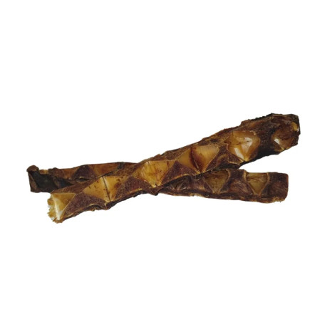 Hueso grande de atún deshidratado para perro — snack óseo de pescado