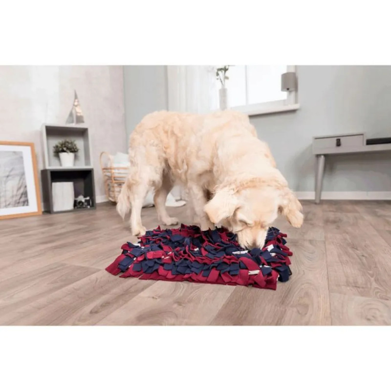 Perro grande utilizando una alfombra olfativa rectangular en interior, buscando premios entre los flecos de colores rojo, azul y