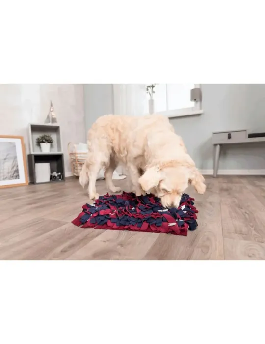 Perro grande utilizando una alfombra olfativa rectangular en interior, buscando premios entre los flecos de colores rojo, azul y