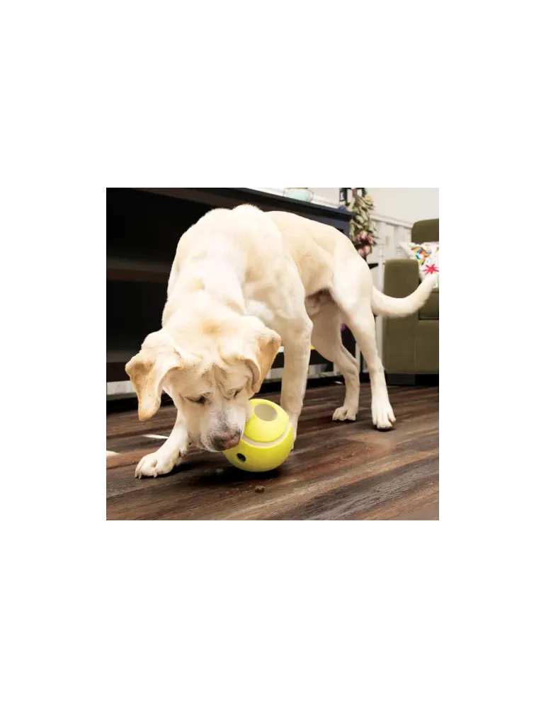 Kong Rewards Tennis