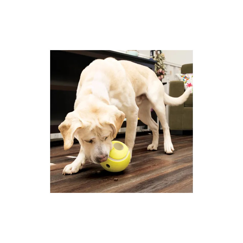 Kong Rewards Tennis