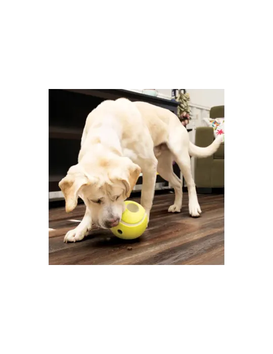 Kong Rewards Tennis