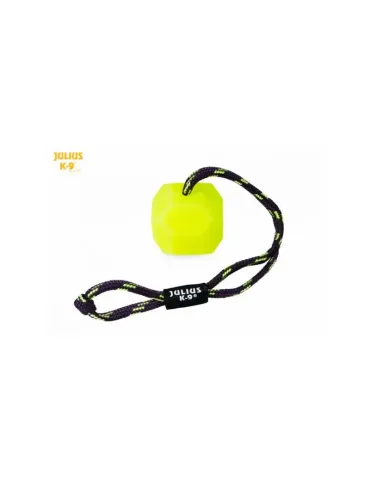 Julis K9 Pelota IDC Lumino