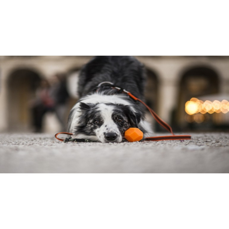 Julis K9 Pelota IDC Lumino