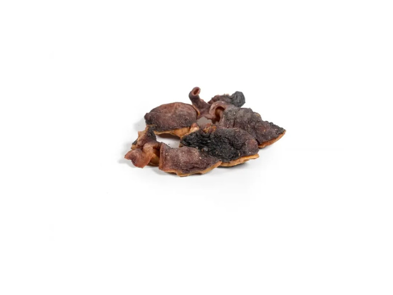 Cabeza de pulpo deshidratada para perros, snack natural rico en sabor, proteínas y textura divertida.