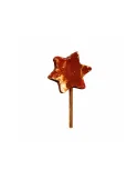 Snack para perro Bubimex en forma de estrella, sabor pato, tamaño 11 cm, ideal como premio masticable y sabroso