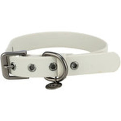 Collar para perro de PVC color gris claro, ancho 30 mm, con hebilla metálica y anilla para correa y placa identificativa.