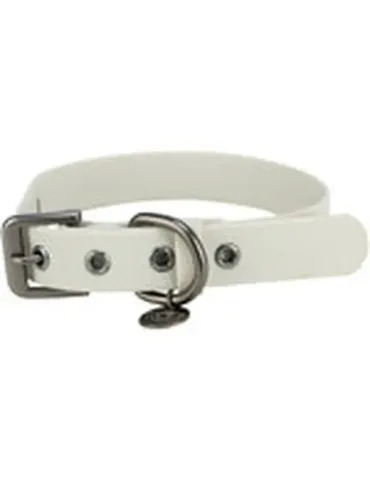 Collar para perro de PVC color gris claro, ancho 30 mm, con hebilla metálica y anilla para correa y placa identificativa.