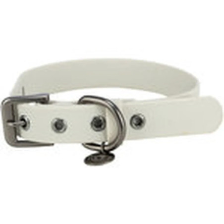 Collar para perro de PVC color gris claro, ancho 30 mm, con hebilla metálica y anilla para correa y placa identificativa.