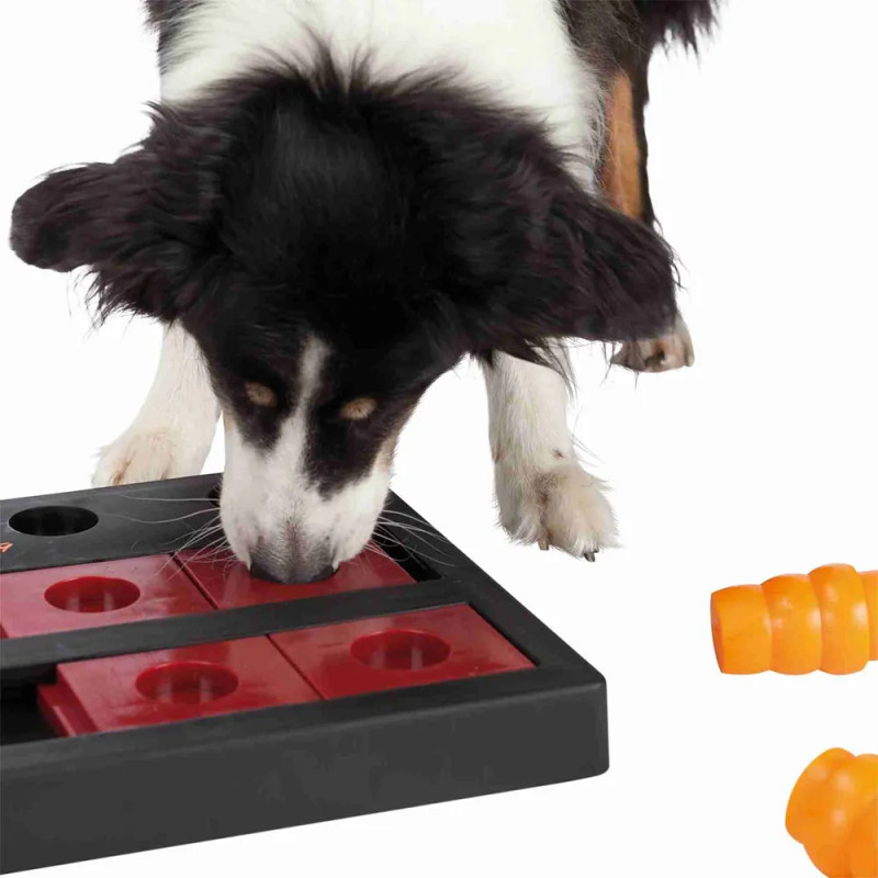 Perro resolviendo el juego Dog Activity Chess Nivel 3, desplazando piezas rojas con el hocico para acceder a los premios escondi