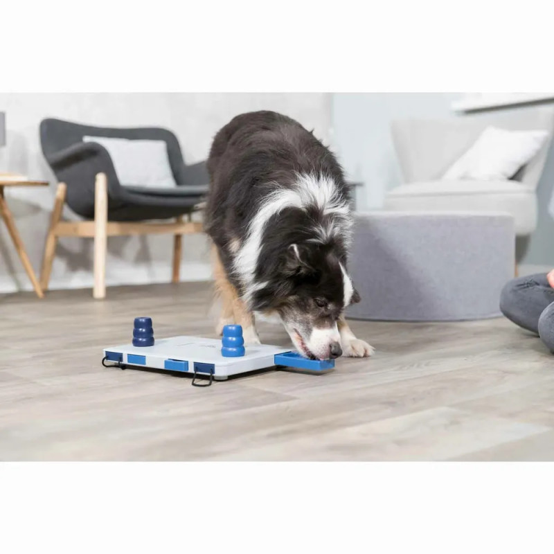 Perro interactuando con el juguete Dog Activity Move2Win para encontrar premios.