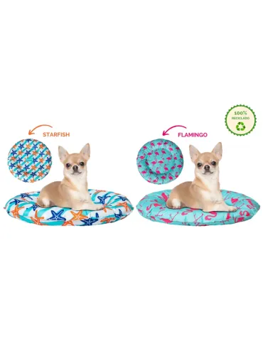 Freedog Donut Refrescante — dos estampados junto a un perro