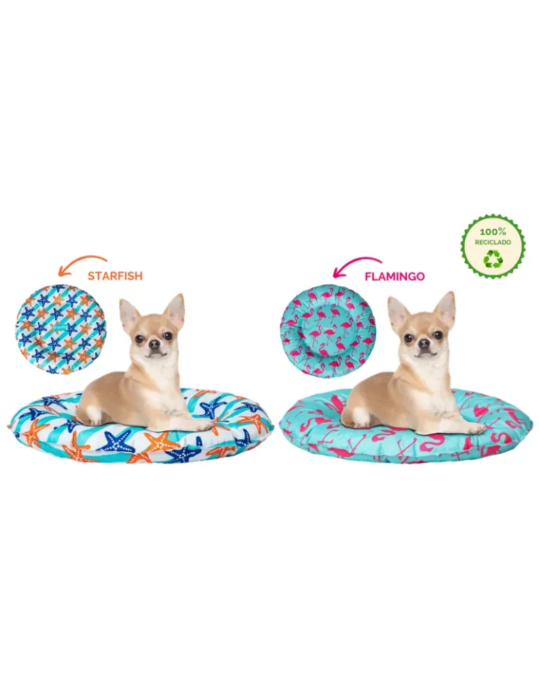 Freedog Donut Refrescante — dos estampados junto a un perro