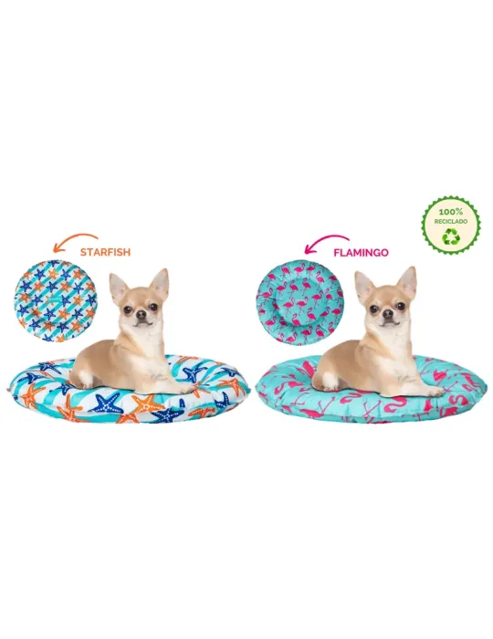 Freedog Donut Refrescante — dos estampados junto a un perro