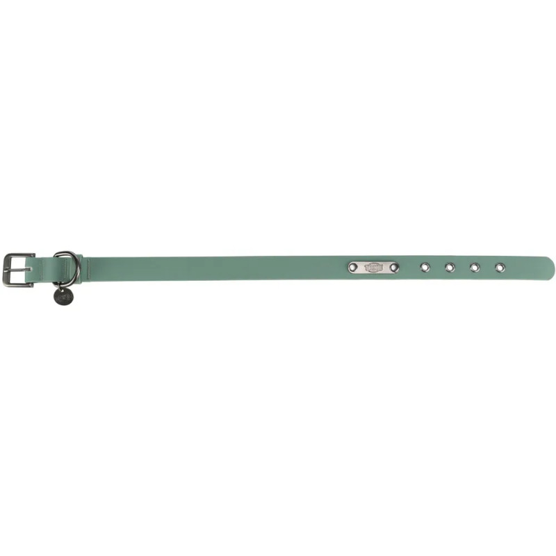Vista completa del collar Trixie de PVC verde menta para perro, con hebilla metálica, anilla de sujeción y varios orificios de a