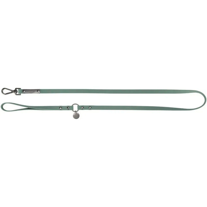 Correa CityStyle de 13 mm en color verde salvia para perros, con herrajes metálicos.