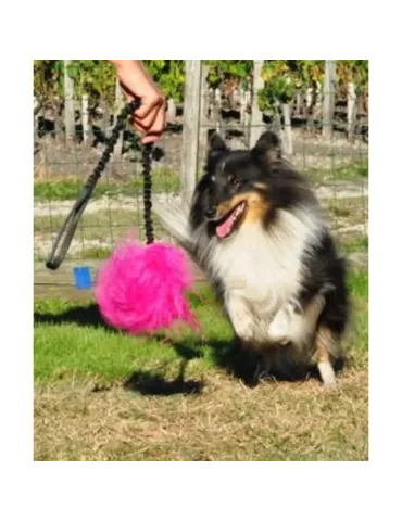 Motivador de piel de oveja merino con asa elástica larga para cachorros de Flexipets 2