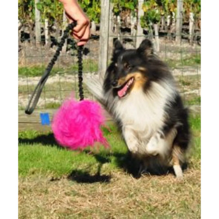 Perro corriendo detrás de motivador rosa de piel de oveja merino con asa elástica Flexipets