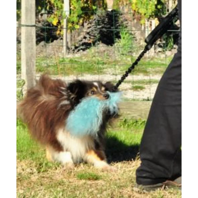 Perro pequeño jugando con motivador de piel de oveja merino azul de Flexipets
