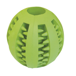 Gloria Pelota Dental