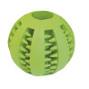 Gloria Pelota Dental