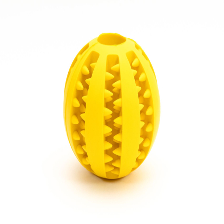 Gloria Pelota Dental