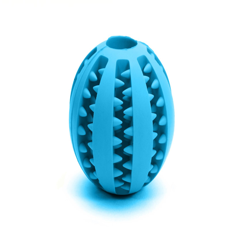 Gloria Pelota Dental