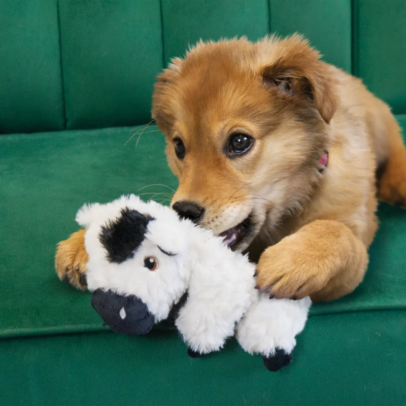 Cachorro jugando con el juguete de peluche KONG Tyke Comfort Vaca.