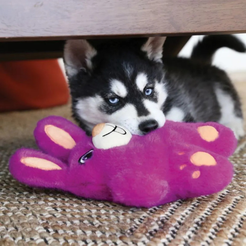 Cachorro jugando con un peluche KONG Snuzzles Conejo morado sobre una alfombra en casa.