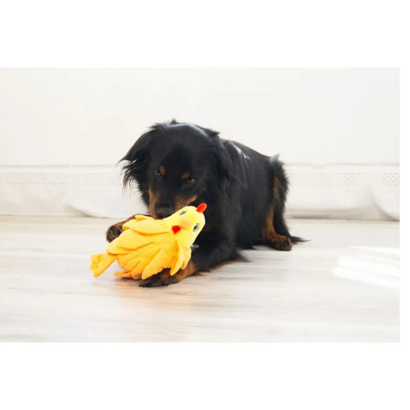 Perro jugando con el juguete KONG Layerz Forage Hen, gallina de peluche interactiva con texturas y sonido.