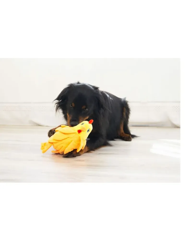 Perro jugando con el juguete KONG Layerz Forage Hen, gallina de peluche interactiva con texturas y sonido.
