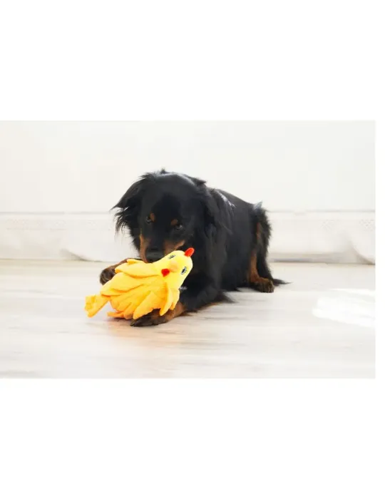 Perro jugando con el juguete KONG Layerz Forage Hen, gallina de peluche interactiva con texturas y sonido.