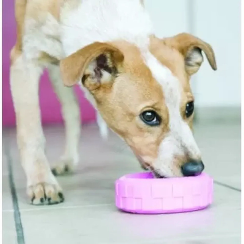 Cachorro jugando con el juguete KONG Puppy Tyres rosa, masticando el caucho para aliviar las encías.