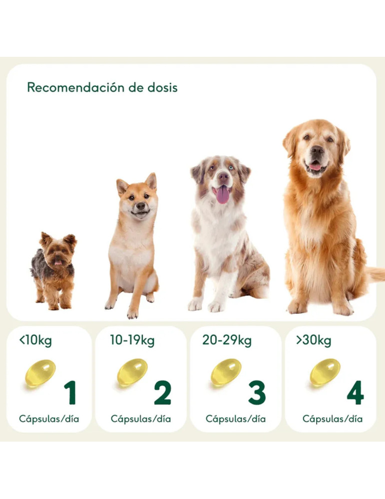 Wild Balance Pelaje Radiante Cápsulas Omega 3
