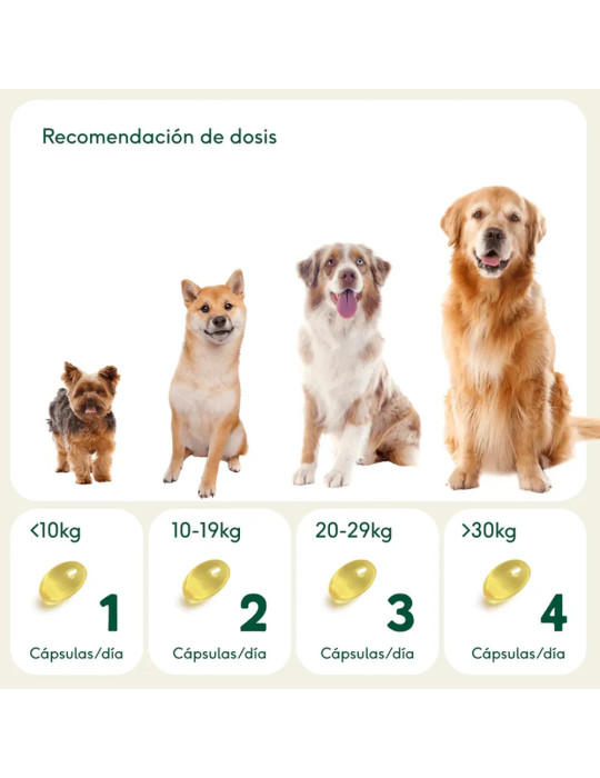Wild Balance Pelaje Radiante Cápsulas Omega 3