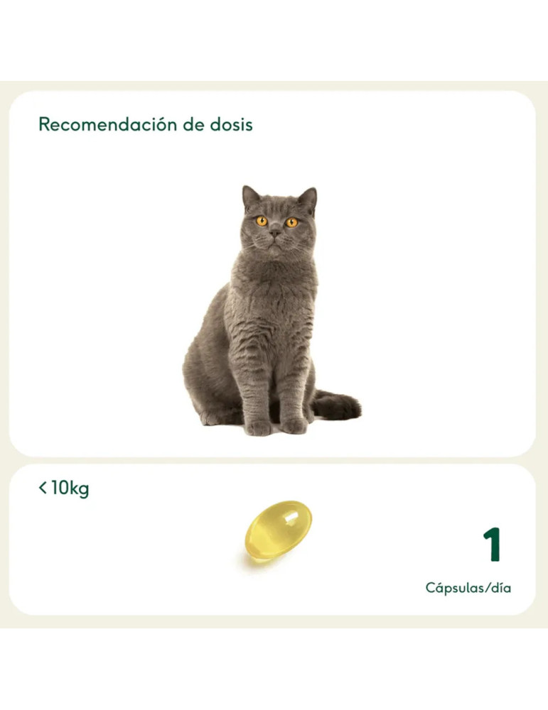 Wild Balance Pelaje Radiante Cápsulas Omega 3