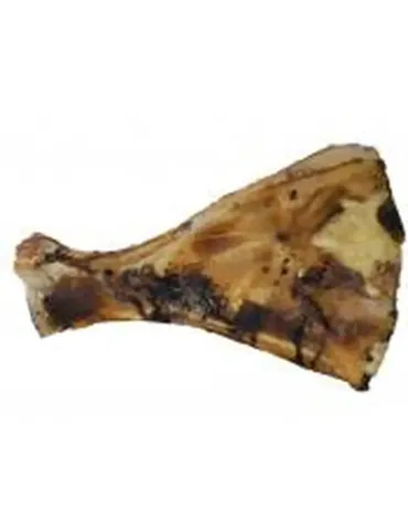Escápula de Vaca 2