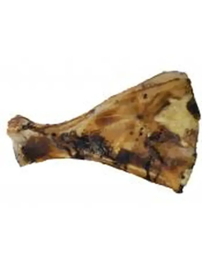 Escápula de Vaca