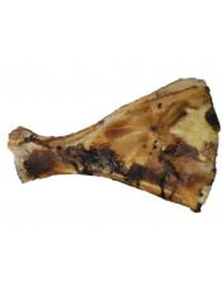 Escápula de Vaca