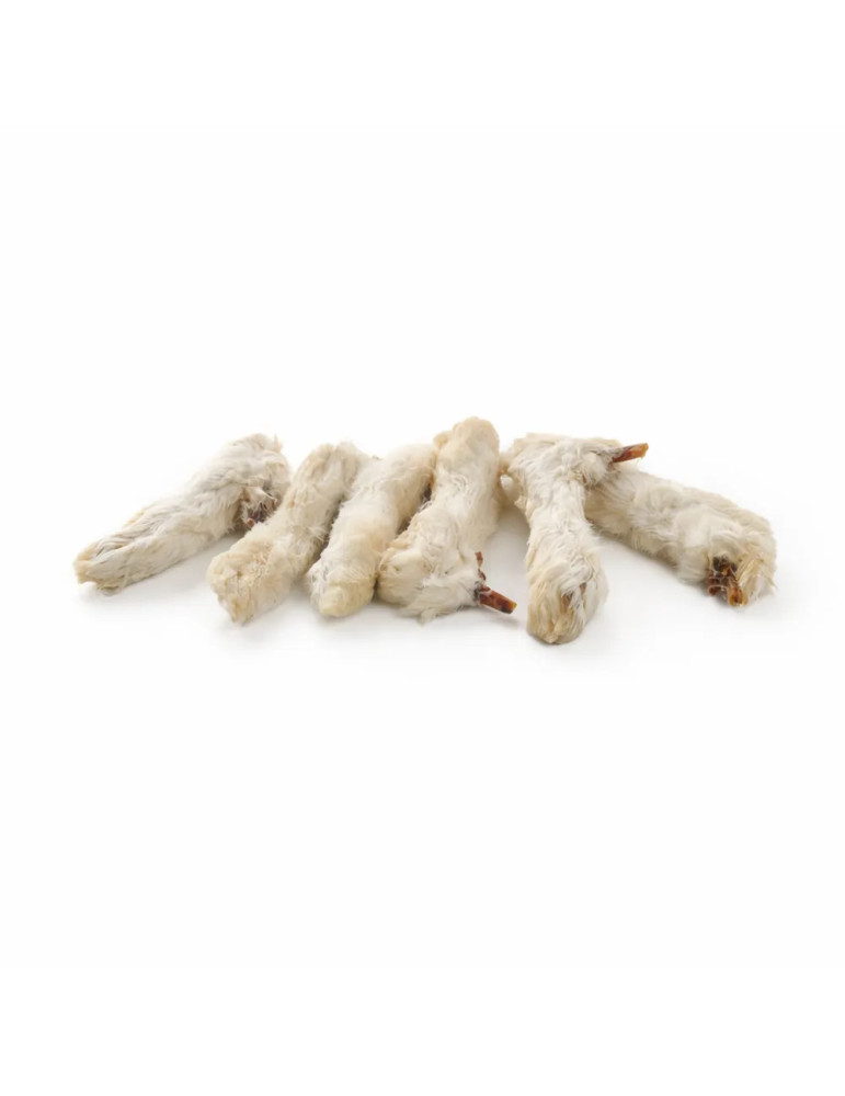 Patas de Conejo con Pelo