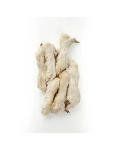 Patas de Conejo con Pelo 2