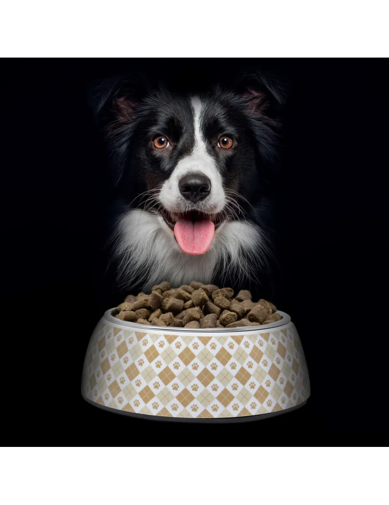 NutraDog Wild Pienso Natural Semihúmedo de Pavo y Pescado