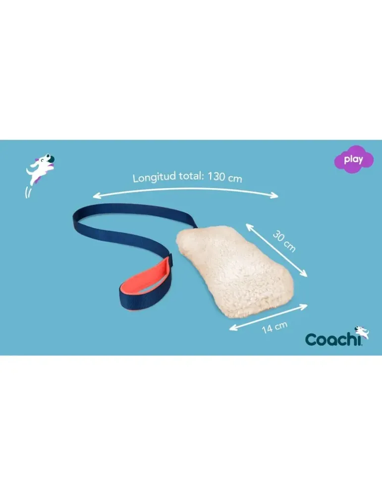 Motivador Coachi Chase & Crinkle